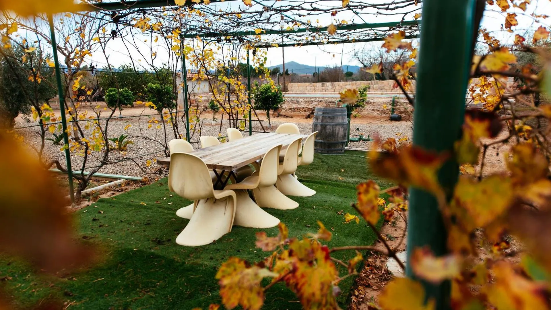 Casa Hostalets - Renovated Casa In The Middle Of The Olive Trees Near The Beach Riudoms Espanha
